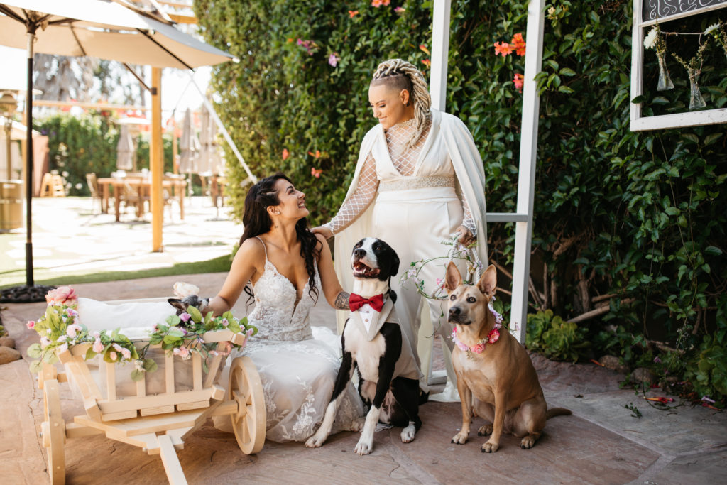 Dog wedding. Gay Wedding. Lesbian elopement. Beach elopement.